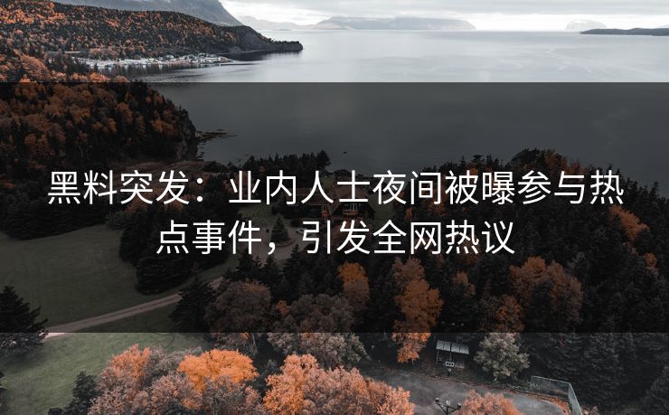 黑料突发：业内人士夜间被曝参与热点事件，引发全网热议