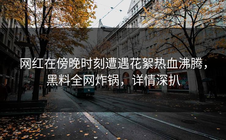 网红在傍晚时刻遭遇花絮热血沸腾，黑料全网炸锅，详情深扒