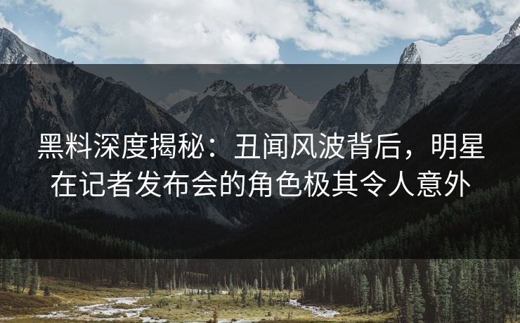 黑料深度揭秘：丑闻风波背后，明星在记者发布会的角色极其令人意外