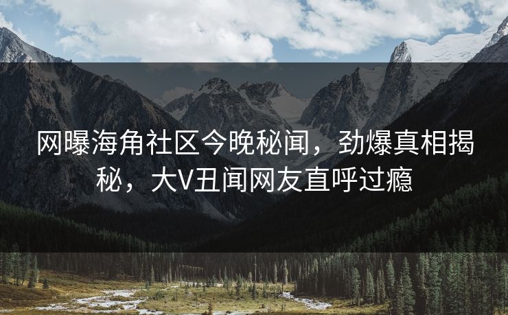 网曝海角社区今晚秘闻，劲爆真相揭秘，大V丑闻网友直呼过瘾