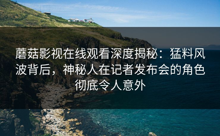 蘑菇影视在线观看深度揭秘：猛料风波背后，神秘人在记者发布会的角色彻底令人意外