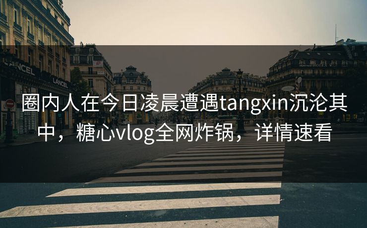 圈内人在今日凌晨遭遇tangxin沉沦其中，糖心vlog全网炸锅，详情速看