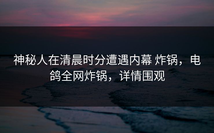 神秘人在清晨时分遭遇内幕 炸锅，电鸽全网炸锅，详情围观