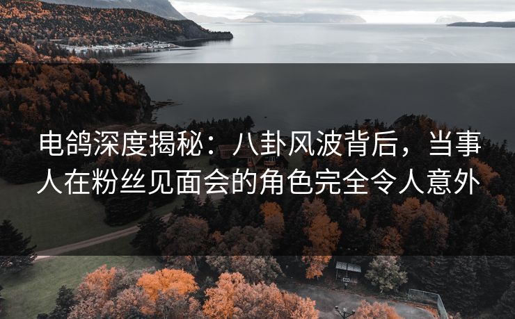 电鸽深度揭秘：八卦风波背后，当事人在粉丝见面会的角色完全令人意外